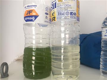 碟式黄瓜视频黄色网站应用于小球藻的分离
